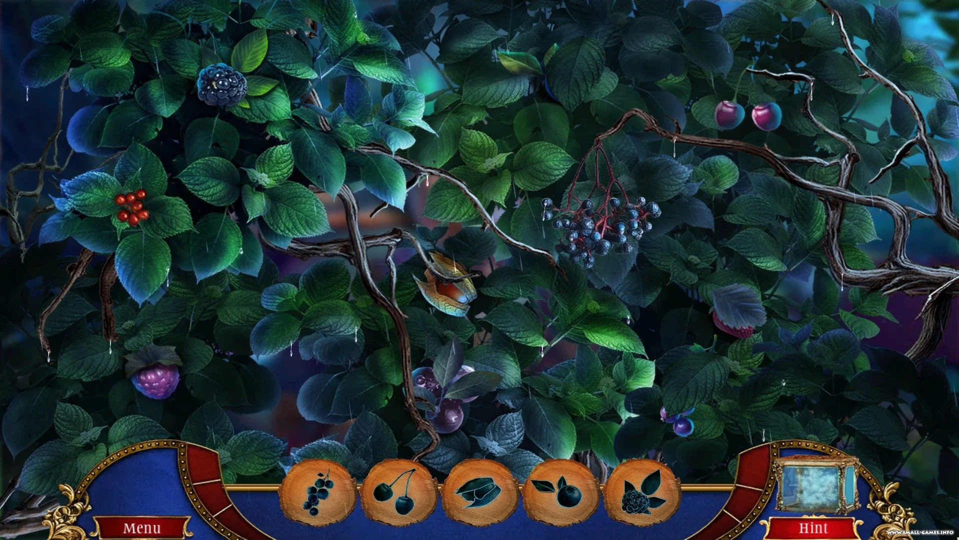 Cover for The Forgotten Forest